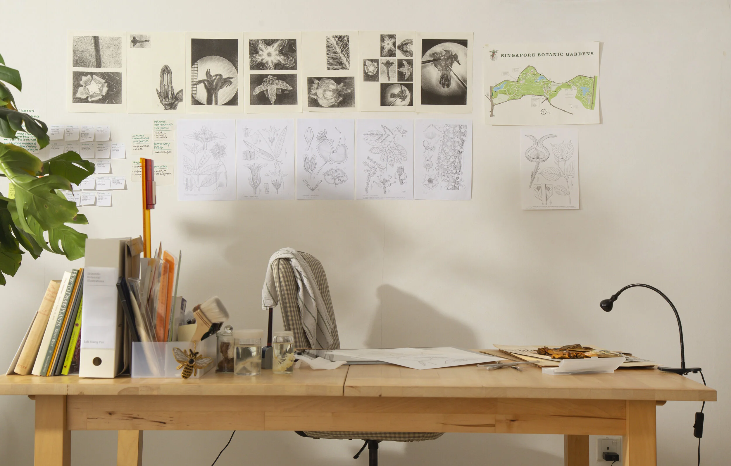 Organised scenery — Loh Xiang Yun